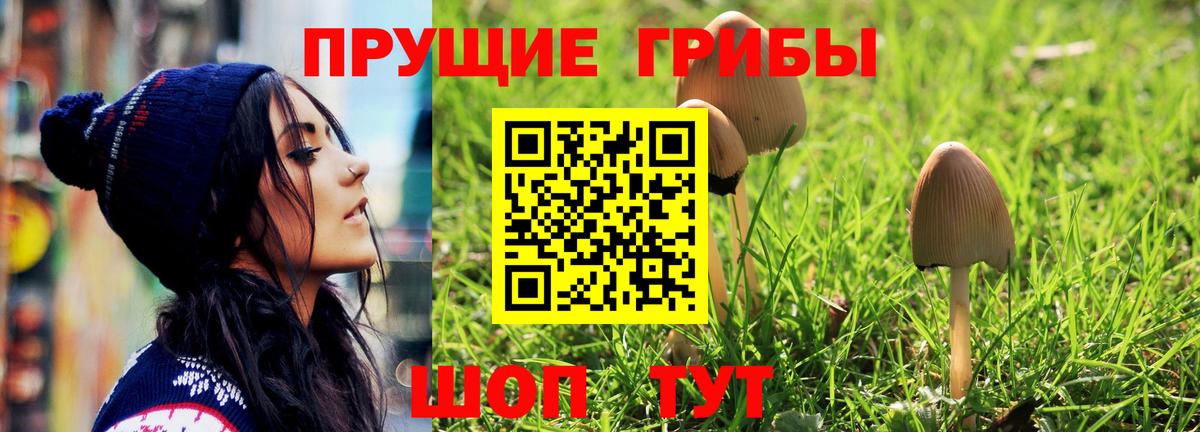Псилоцибиновые грибы GOLDEN TEACHER Дзержинск